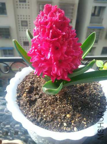IMG20160302094225.jpg