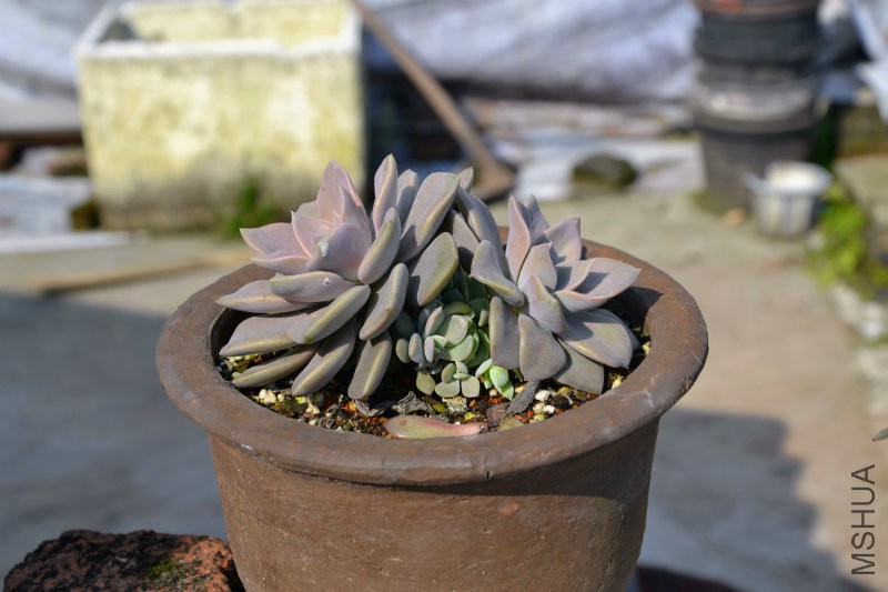 _DSC0242_�?��.jpg