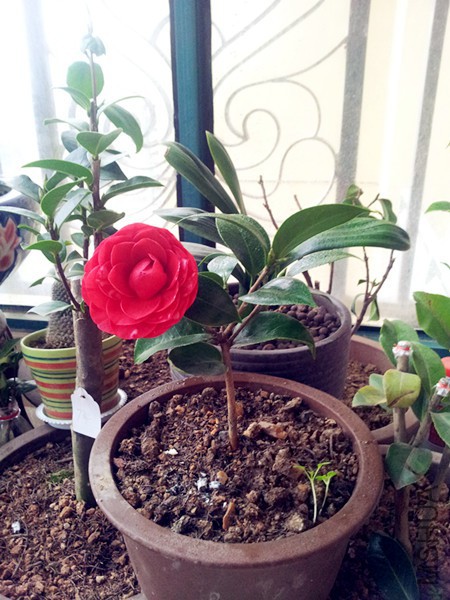 20160315_072206.jpg
