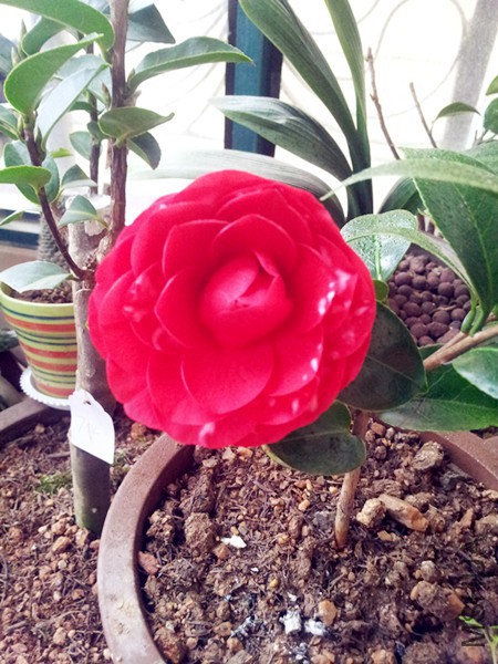 20160315_072218.jpg