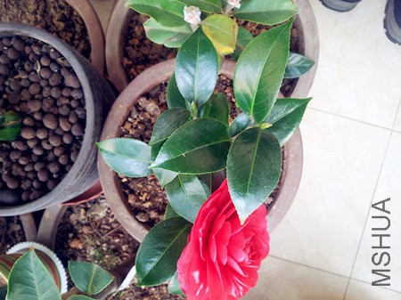 20160316_084543.jpg