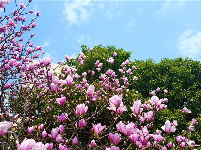 20160307_01.jpg