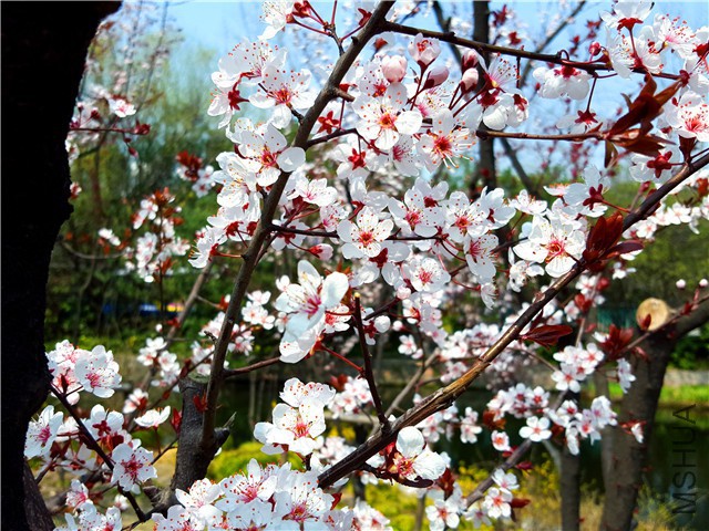 20160316_12.jpg