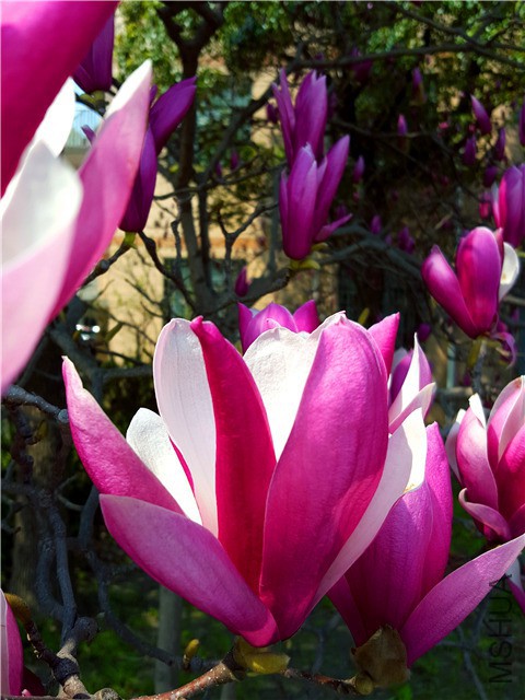 20160307_03.jpg