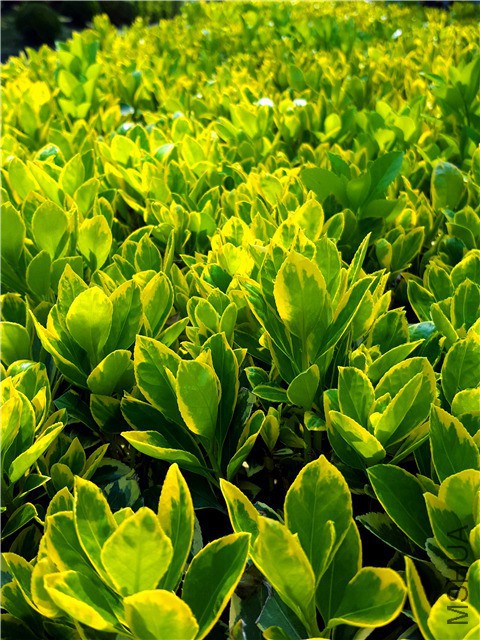 20160316_05.jpg