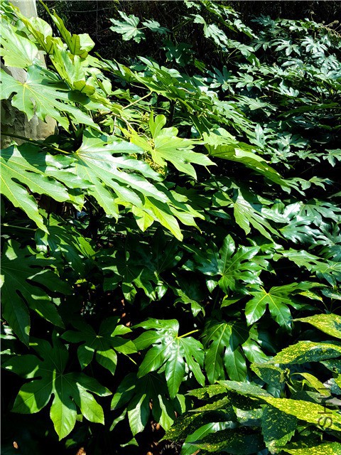 20160316_07.jpg