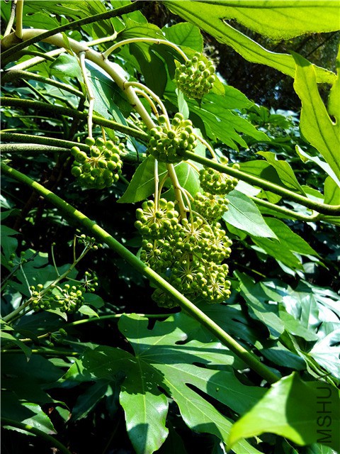 20160316_09.jpg