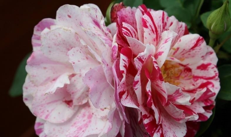 ���ո��� .jpg