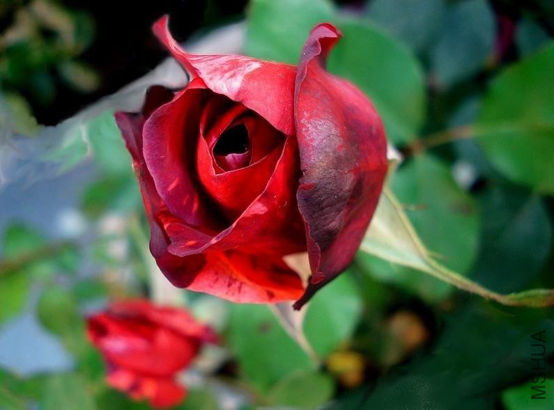 �������ƣ������ŵ�� .jpg