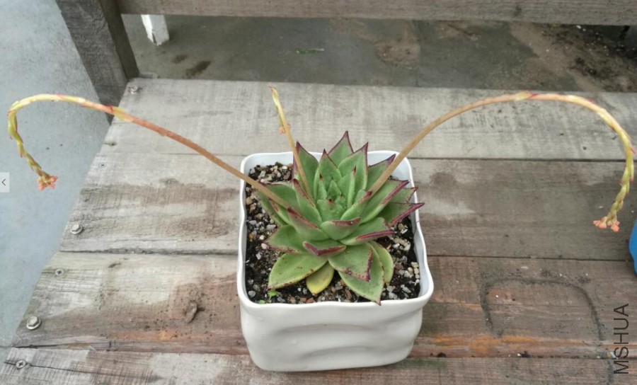 QQ��ͼ20160316221524.jpg