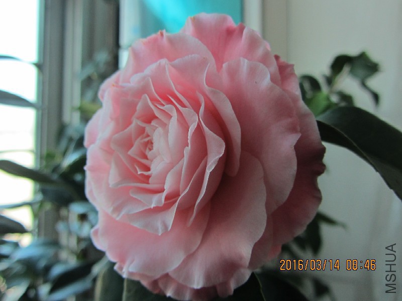 IMG_0107.JPG