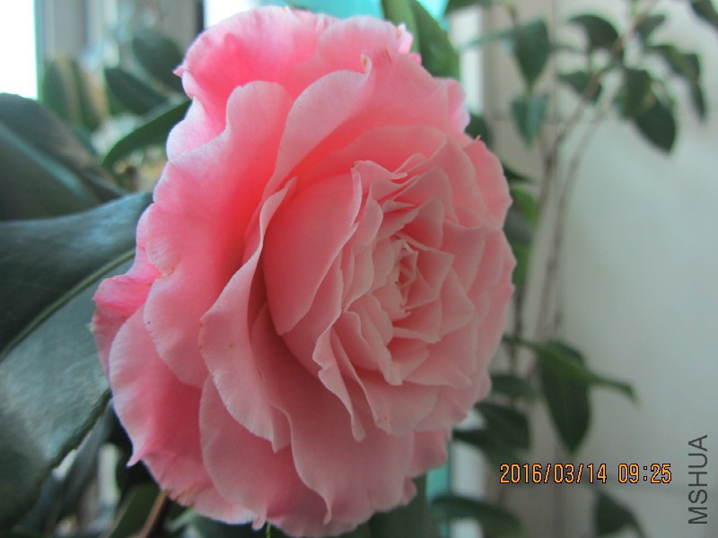 IMG_0133.JPG