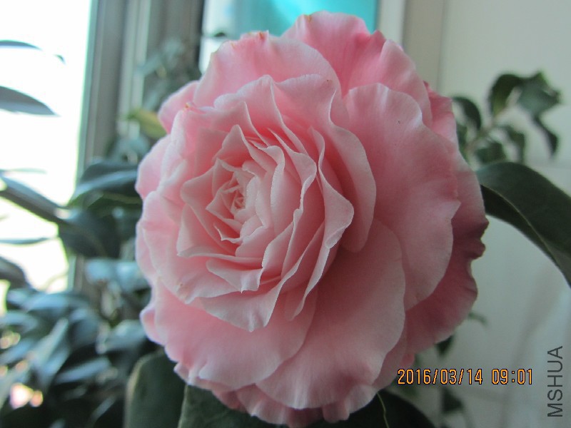 IMG_0123.JPG