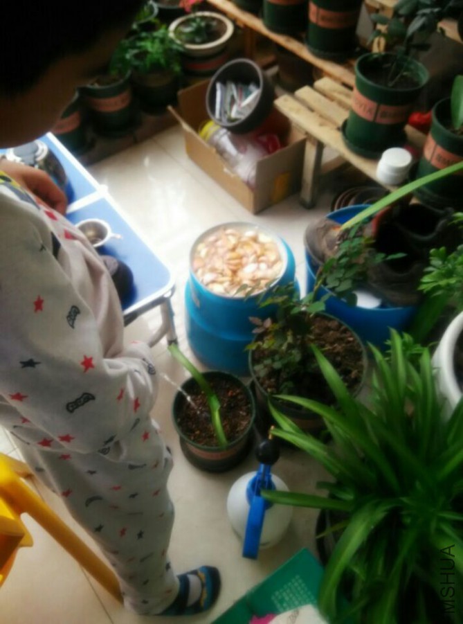 ���Զ�����ıЩϸ�ڣ��뿴С���������ŵ���ͷ