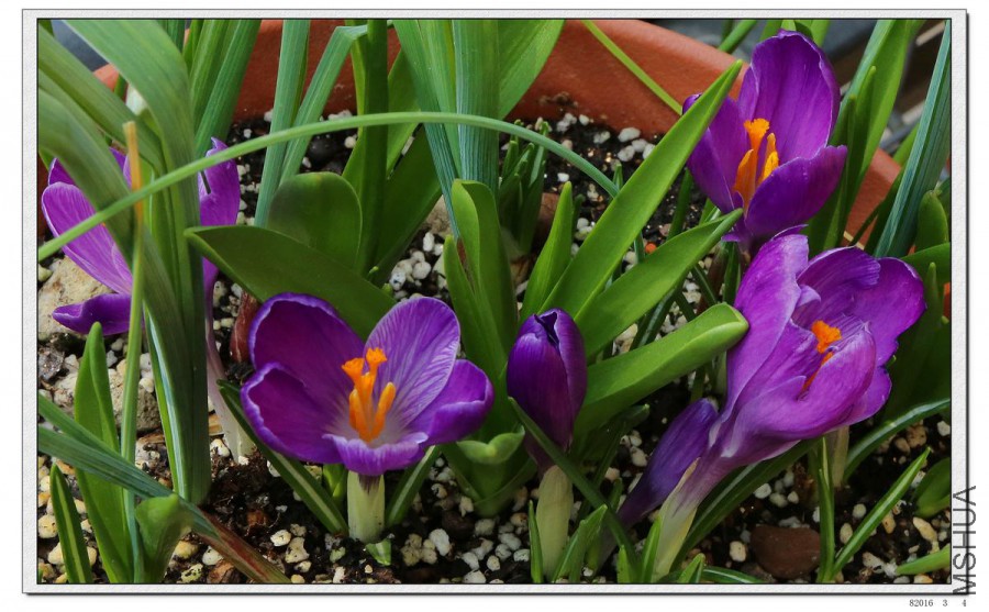 2016030402.jpg