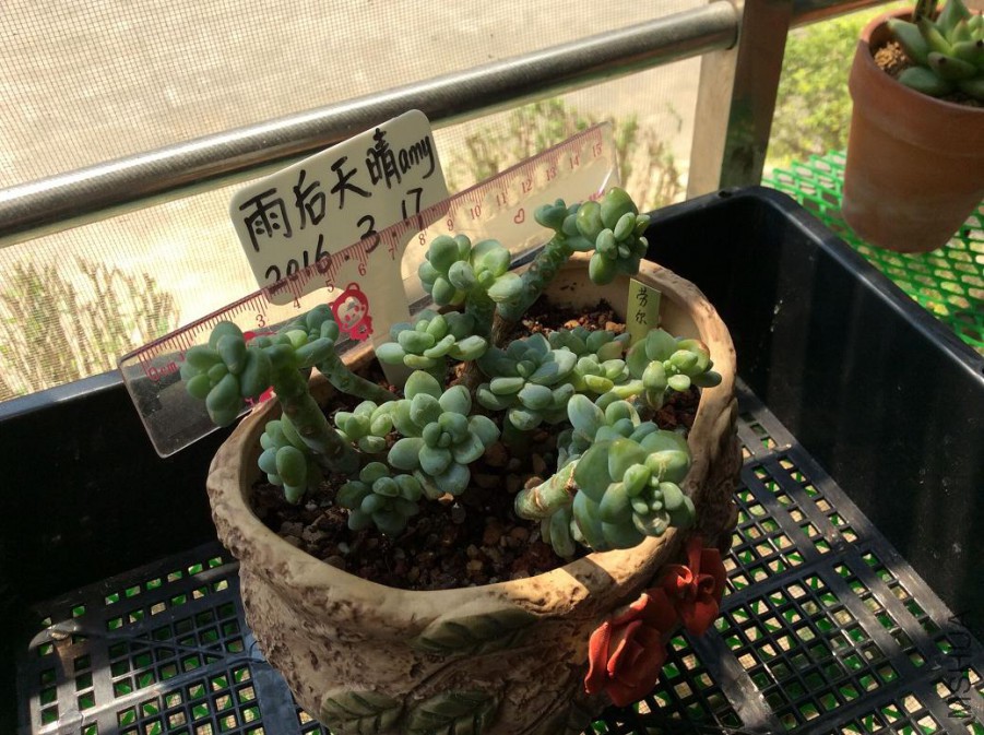 5.�Ͷ�Ⱥ68Ԫ