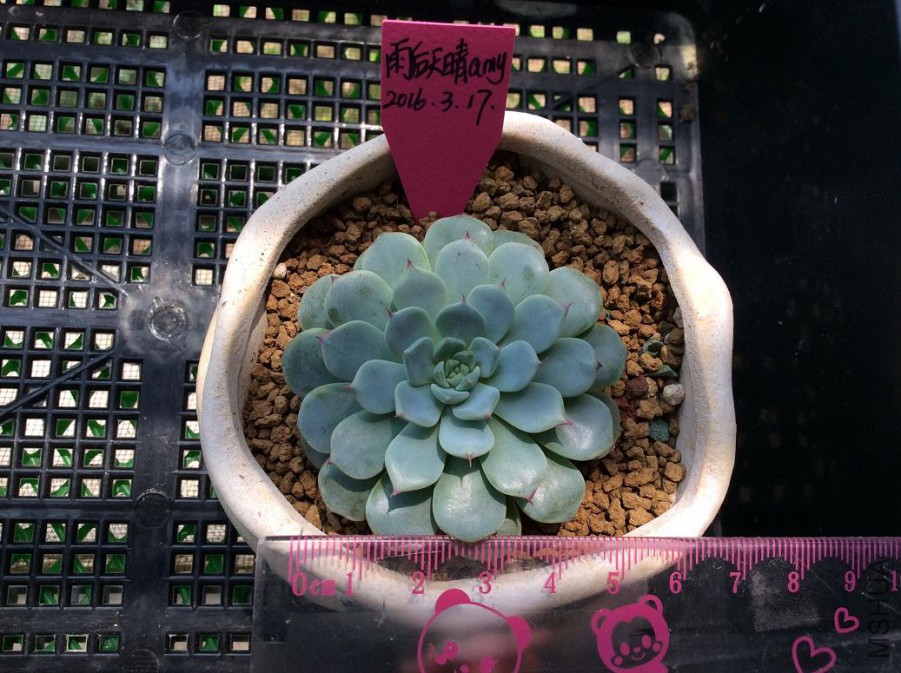 6.������49Ԫ