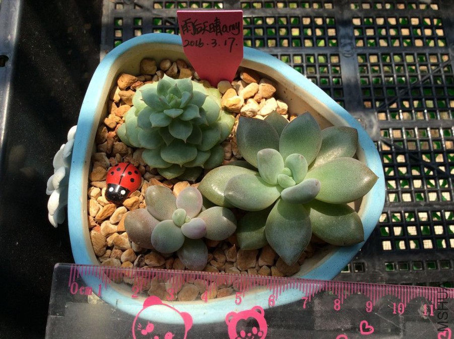 7.�ҵ�20��������8ͽ��ҹ5