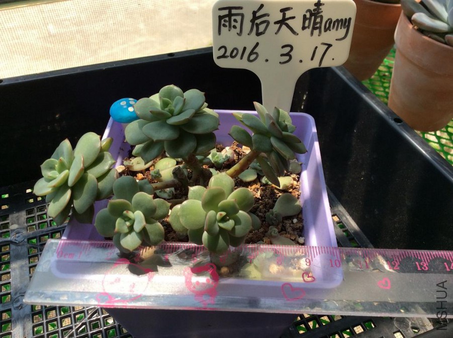 14.�컯ױȺ20Ԫ