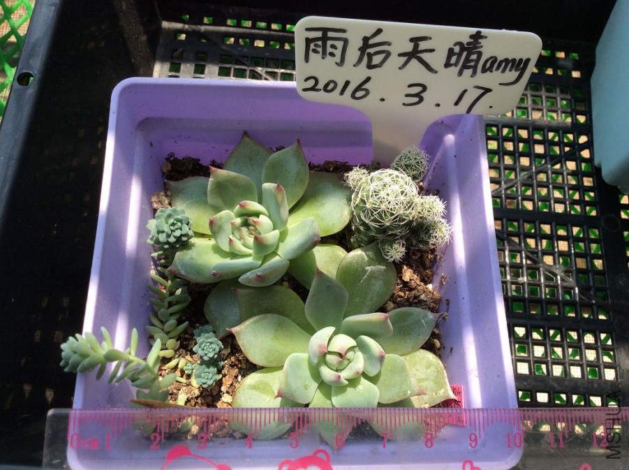 20.������2��5Ԫ