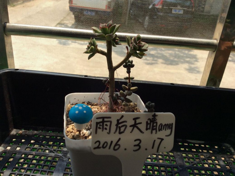 24.��ƤѼ5Ԫ
