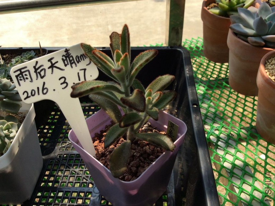 26.���ö�5Ԫ