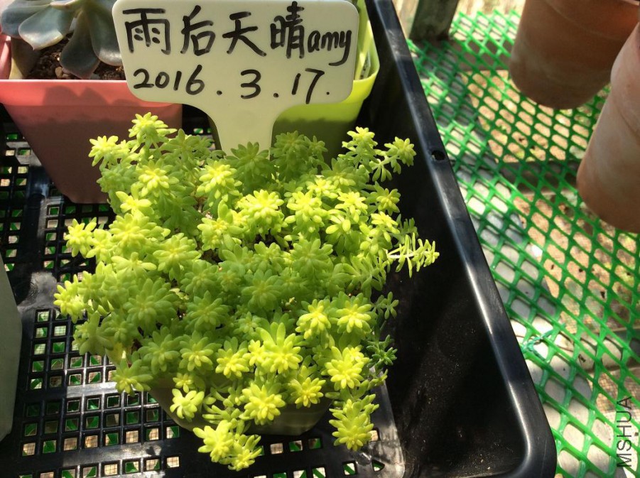 27.�ƽ�ѩ2Ԫ.