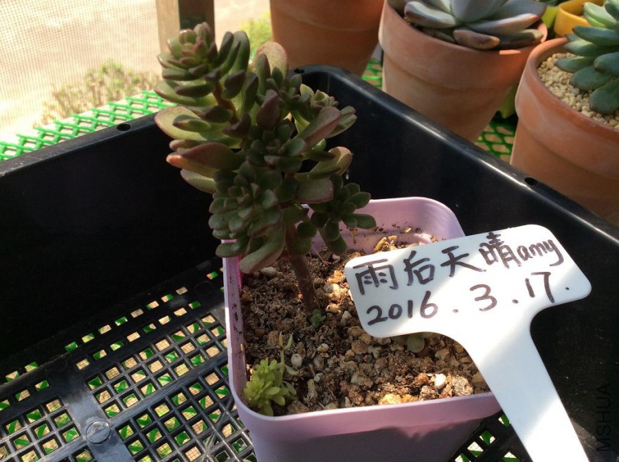 29.�����8Ԫ