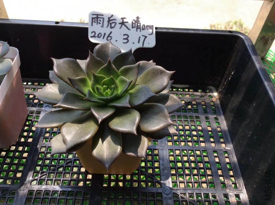 33.������5Ԫ10cm����