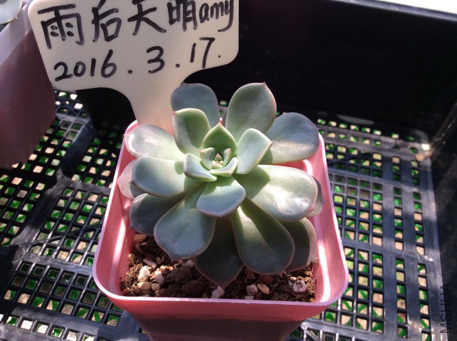 34.��ۼ���3Ԫ