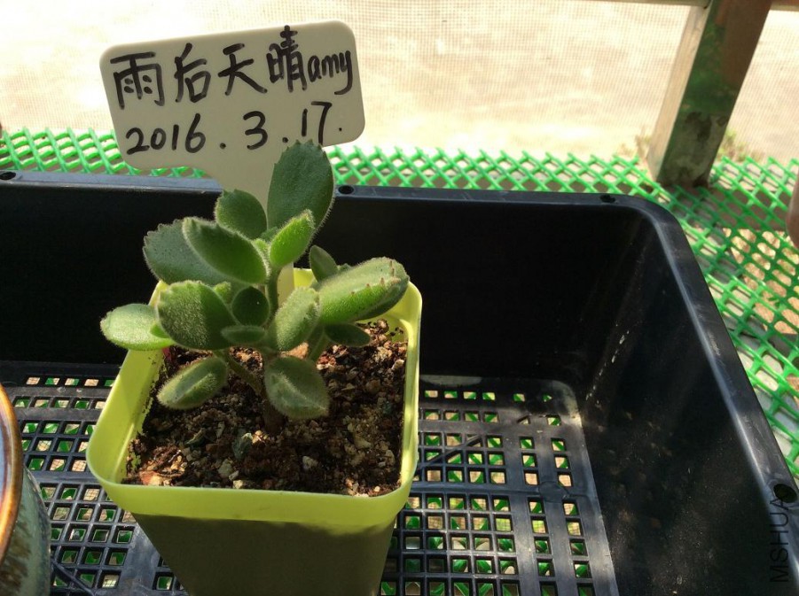 38.����25Ԫ