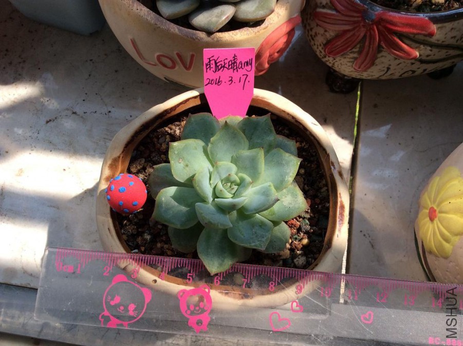 56.֯��8Ԫ