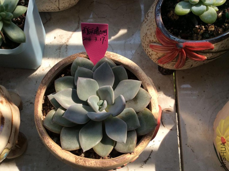 59.���10Ԫ10cm��