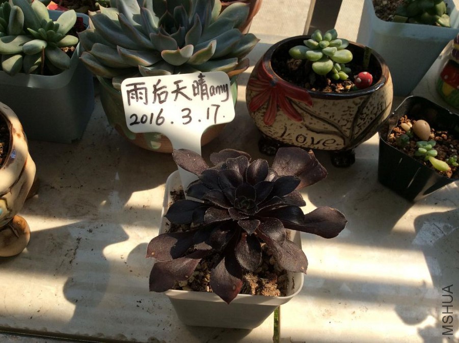 61.�ڷ�ʦ3Ԫ