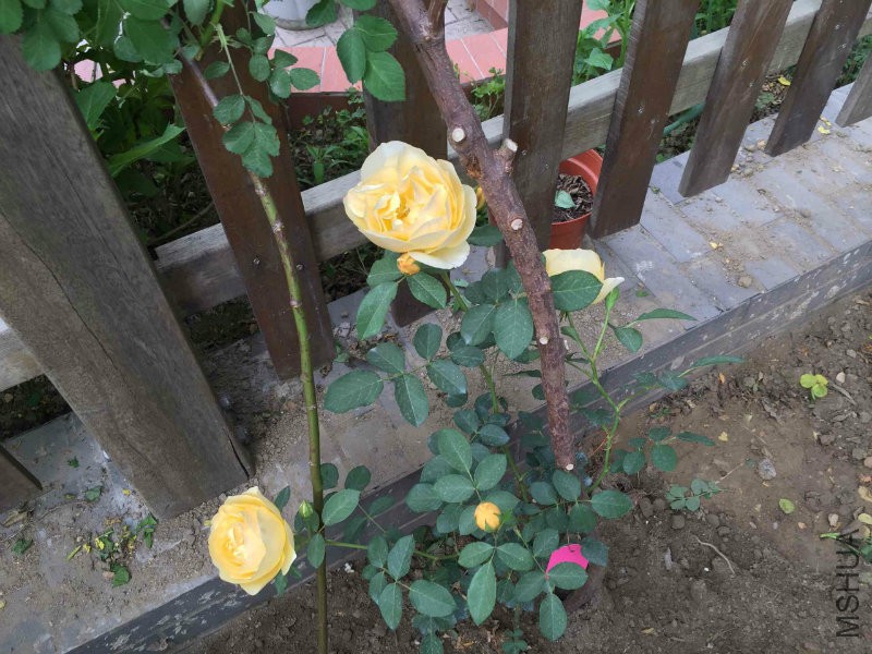 ����˹20150424