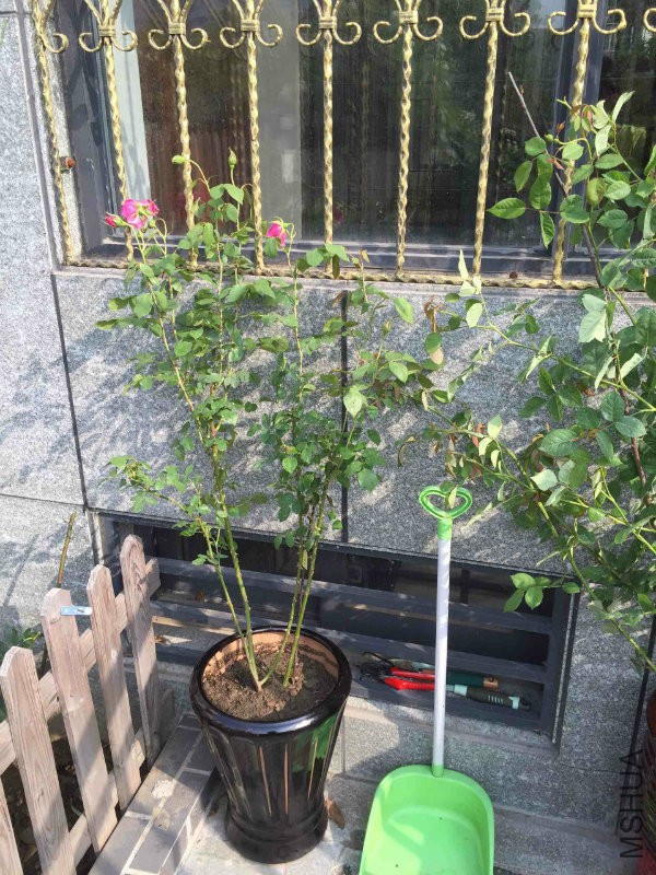 2015��5��8�մ�U��
