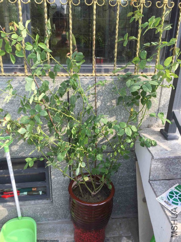 2015��5��8��