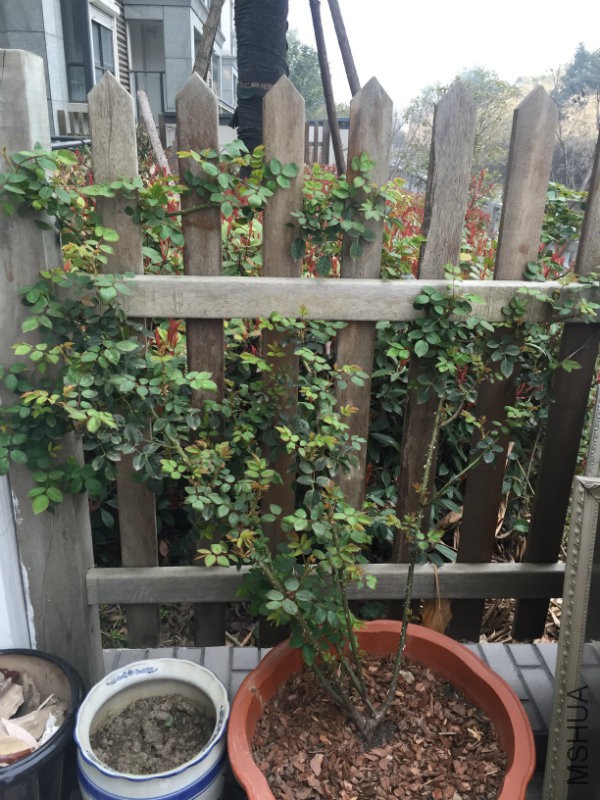 2016��3��18��