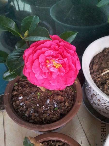 20160315_072252.jpg