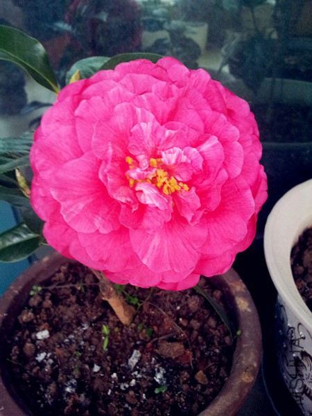 20160316_071526.jpg