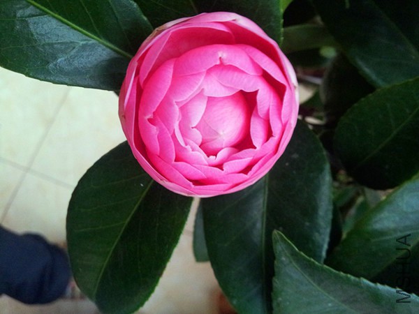 20151220_164846.jpg