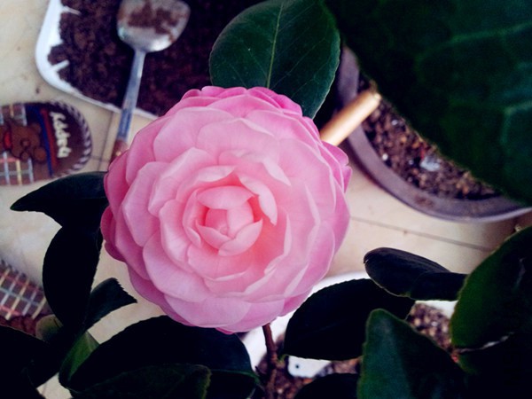 20151220_164854.jpg