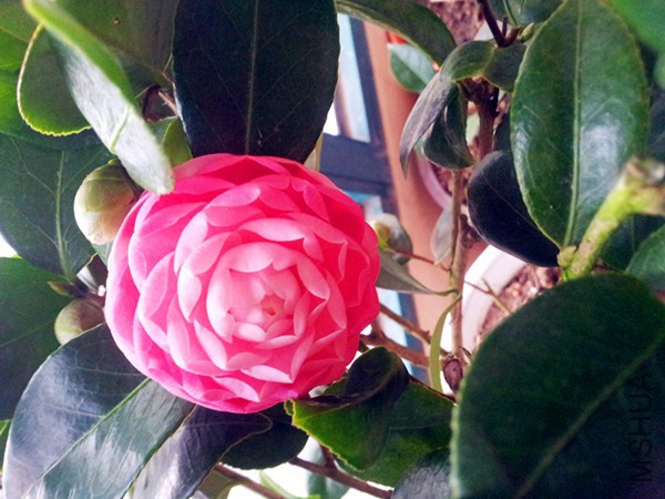 20151212_080855.jpg