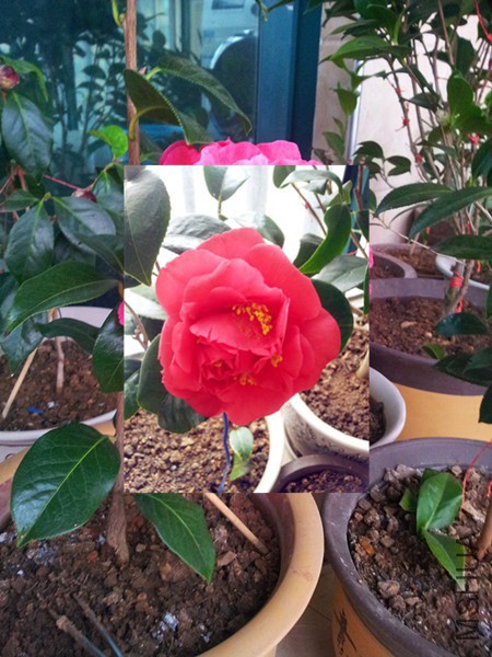 20160303_075415.jpg