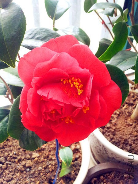 20160303_080231.jpg