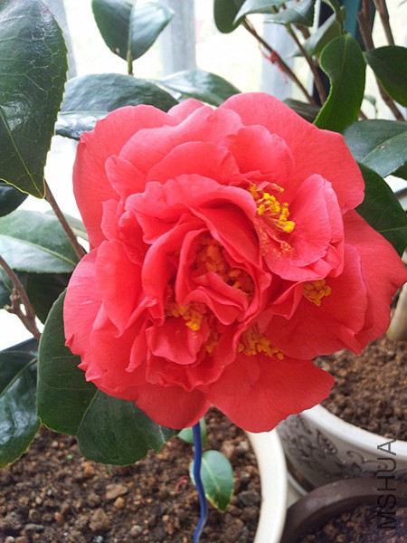 20160304_085355.jpg
