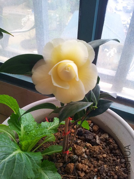 20160305_082532.jpg