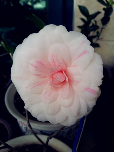 20160312_083243.jpg