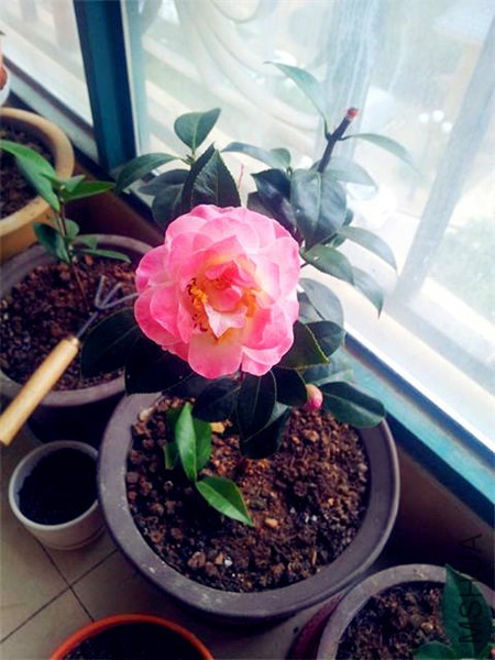 20160221_093300.jpg