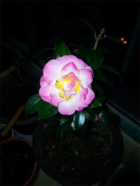 20160221_194049.jpg
